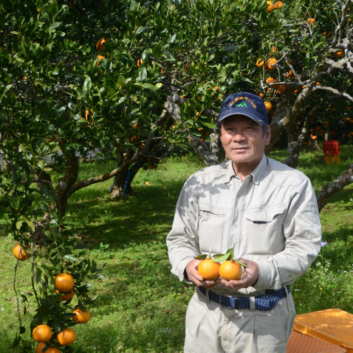 鹿児島天城町】林果樹園 徳之島産 タンカン【ご家庭用】混合サイズ 5kg