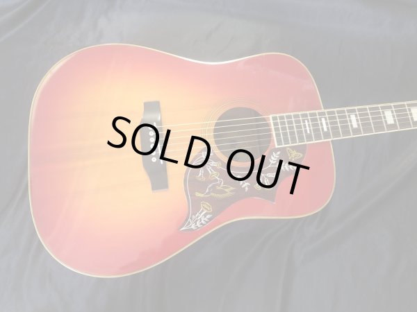 Morris / WH-25 ハミングバード 日本製 - HR/HMギター専門店 FUTURE WORLD