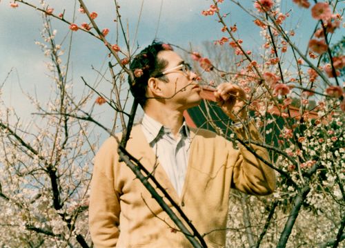 Fiona Tan – Vox Populi Tokyo