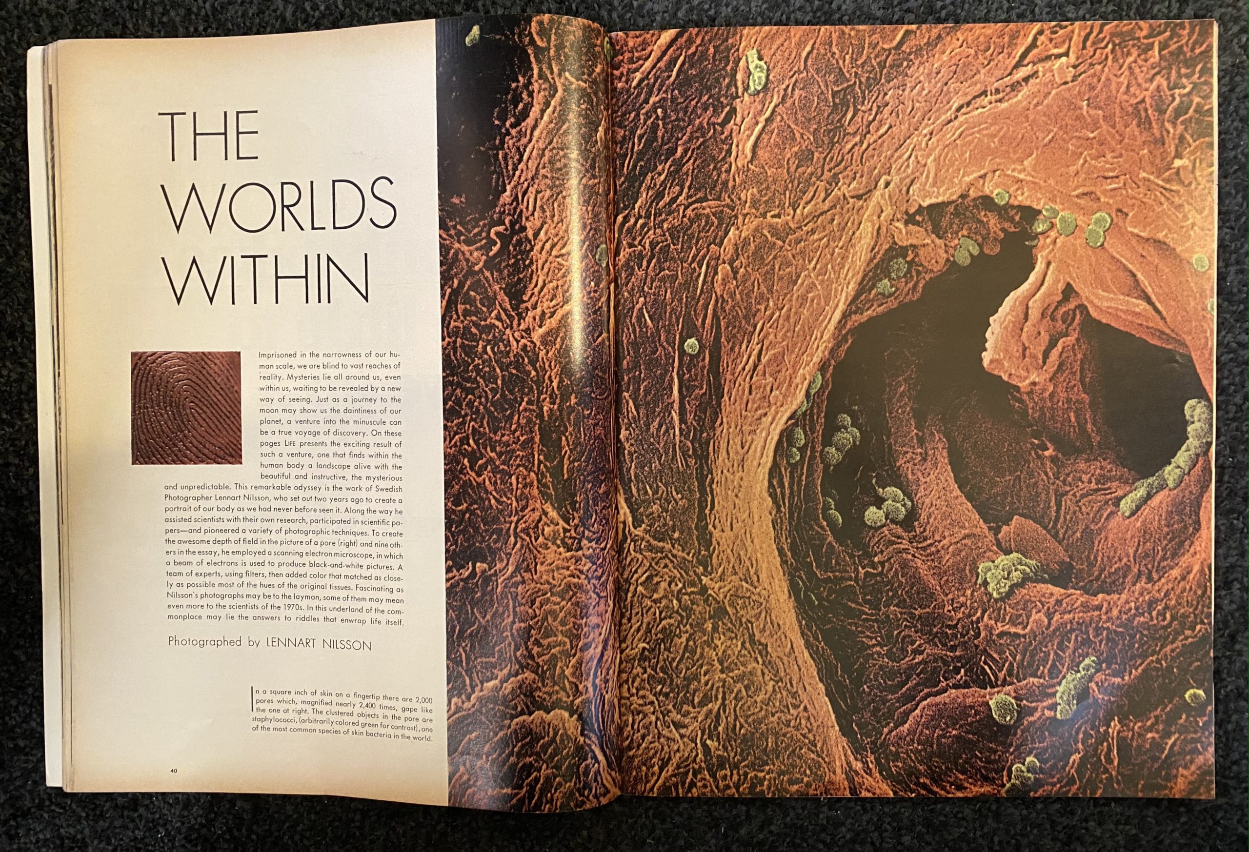 Life Magazine Jan, 1970 Special Double Issue | Gadabout Vintage