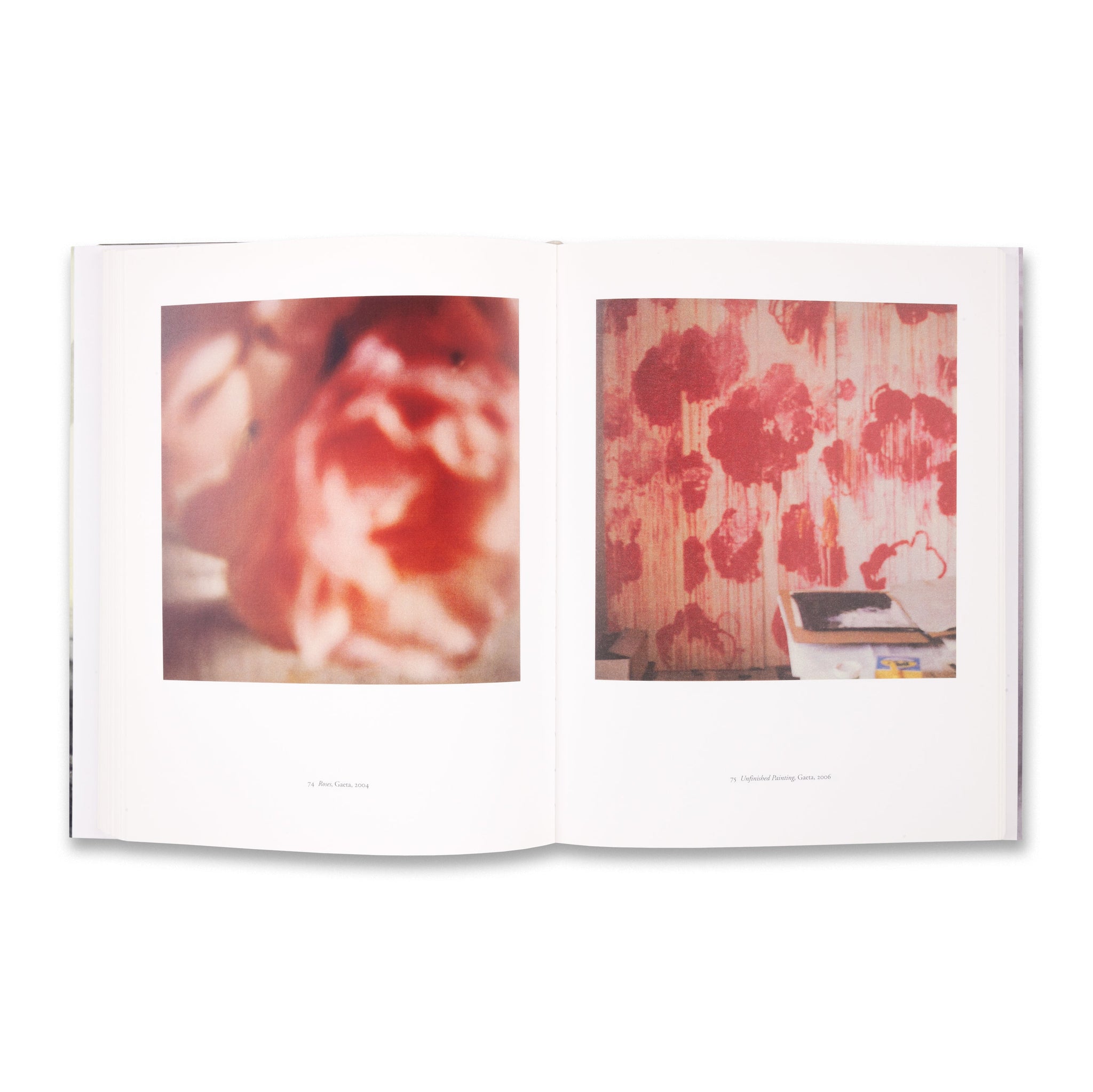 Cy Twombly: Photographs 1951–2007 Rare Book | Gagosian Shop