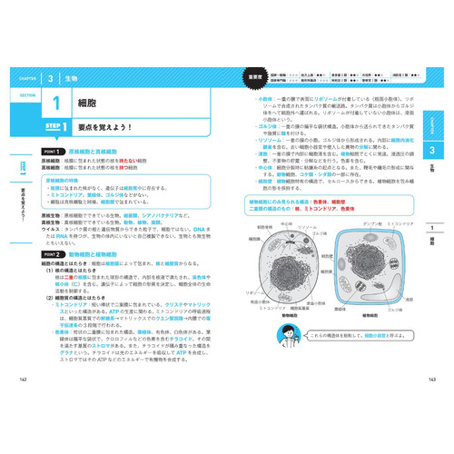 きめる！公務員試験|きめる！公務員試験 自然科学|橋口 武英(監修
