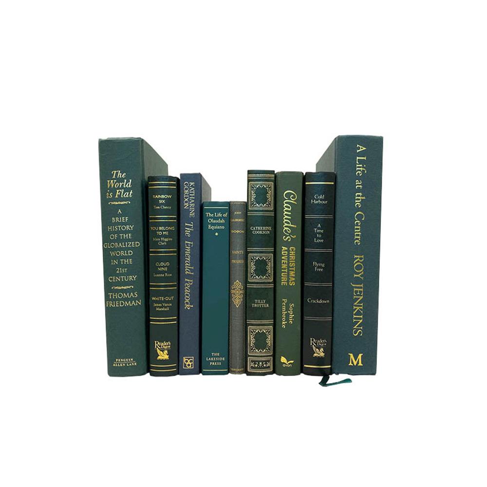 ユーズドブック 25cm (アンティーク 洋書 本 ディスプレイ ダルトン