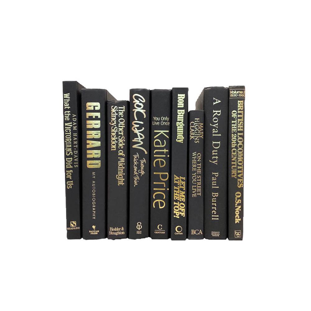 ユーズドブック 25cm (アンティーク 洋書 本 ディスプレイ ダルトン