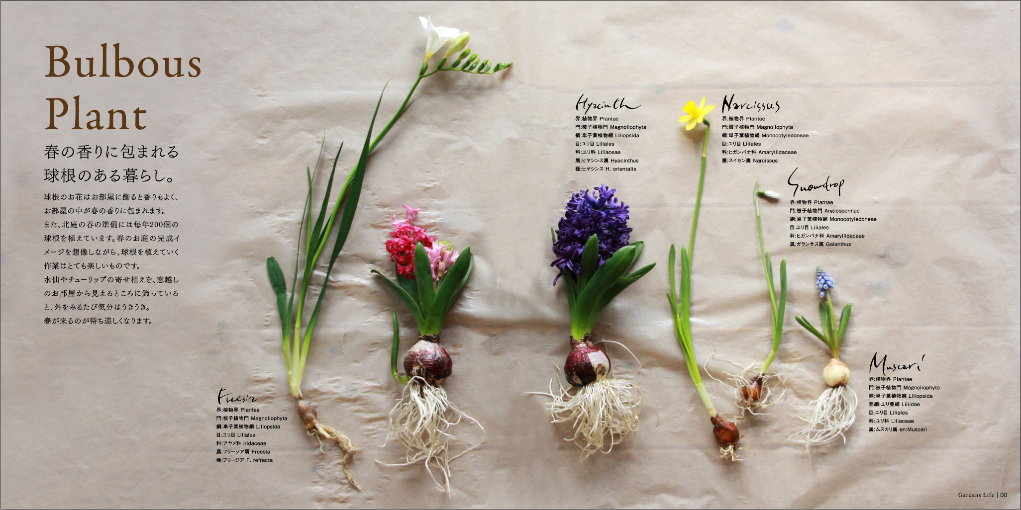 GARDENS LIFE BOOK - GARDENS（ガーデンズ） | 香川県高松市の造園