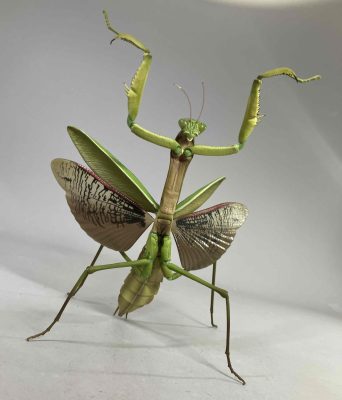 ガシャポンブログ | ガシャポンオフィシャルサイト