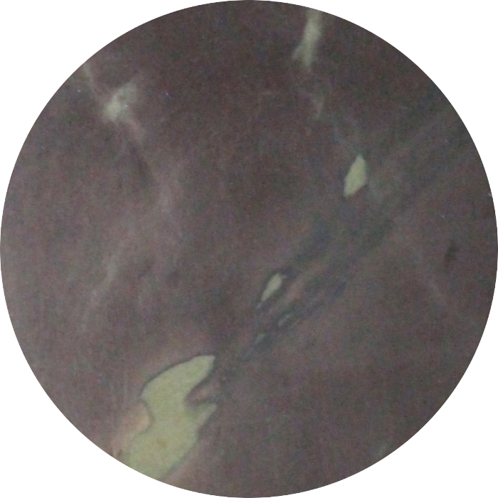 新古美術 玄清堂 | 厳選された美術品を世界遺産「石見銀山」がある島根