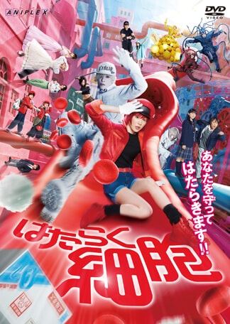 ゲオ店舗情報｜『はたらく細胞』特集