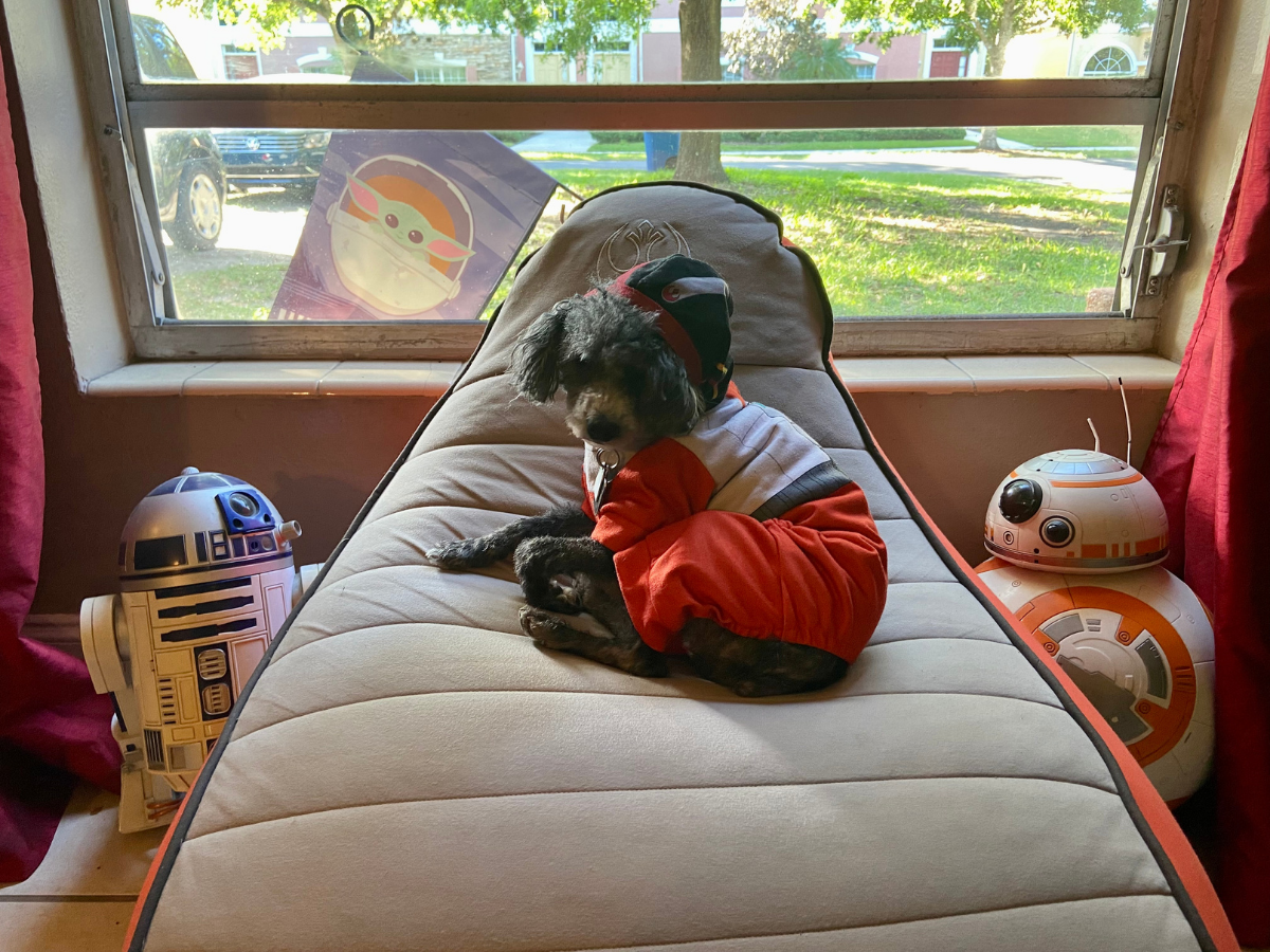 The Force Is With the Yogibo 'Star Wars' Collection - GeekMom