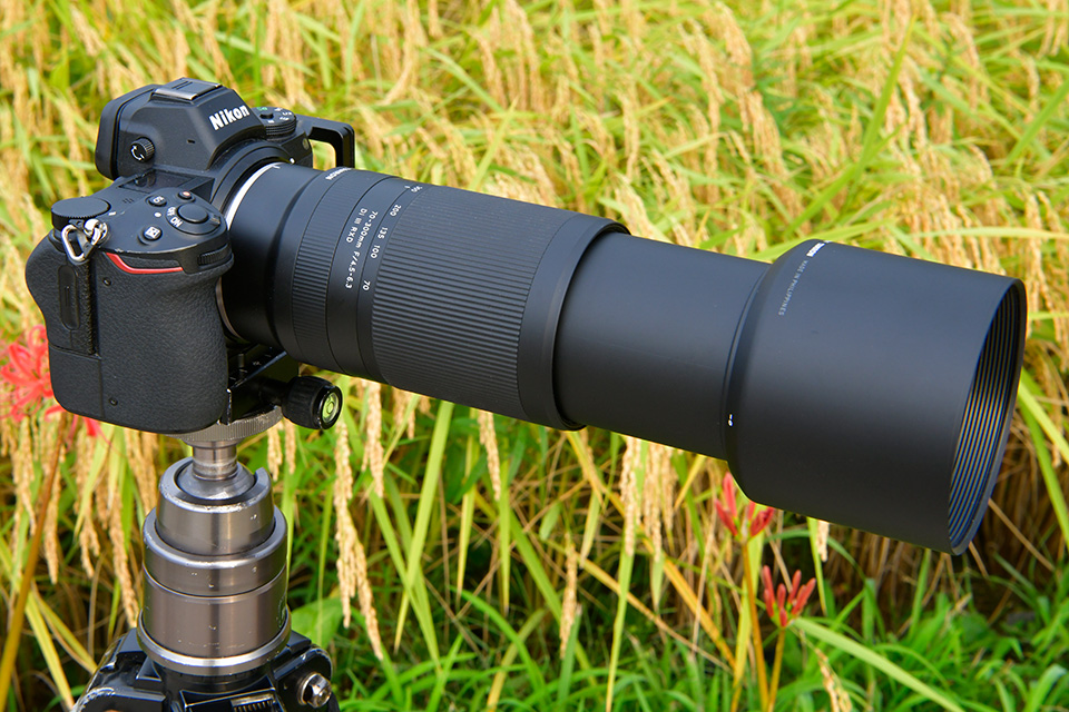 初のZマウント望遠ズームレンズで実写！ タムロン 70-300mm F/4.5-6.3