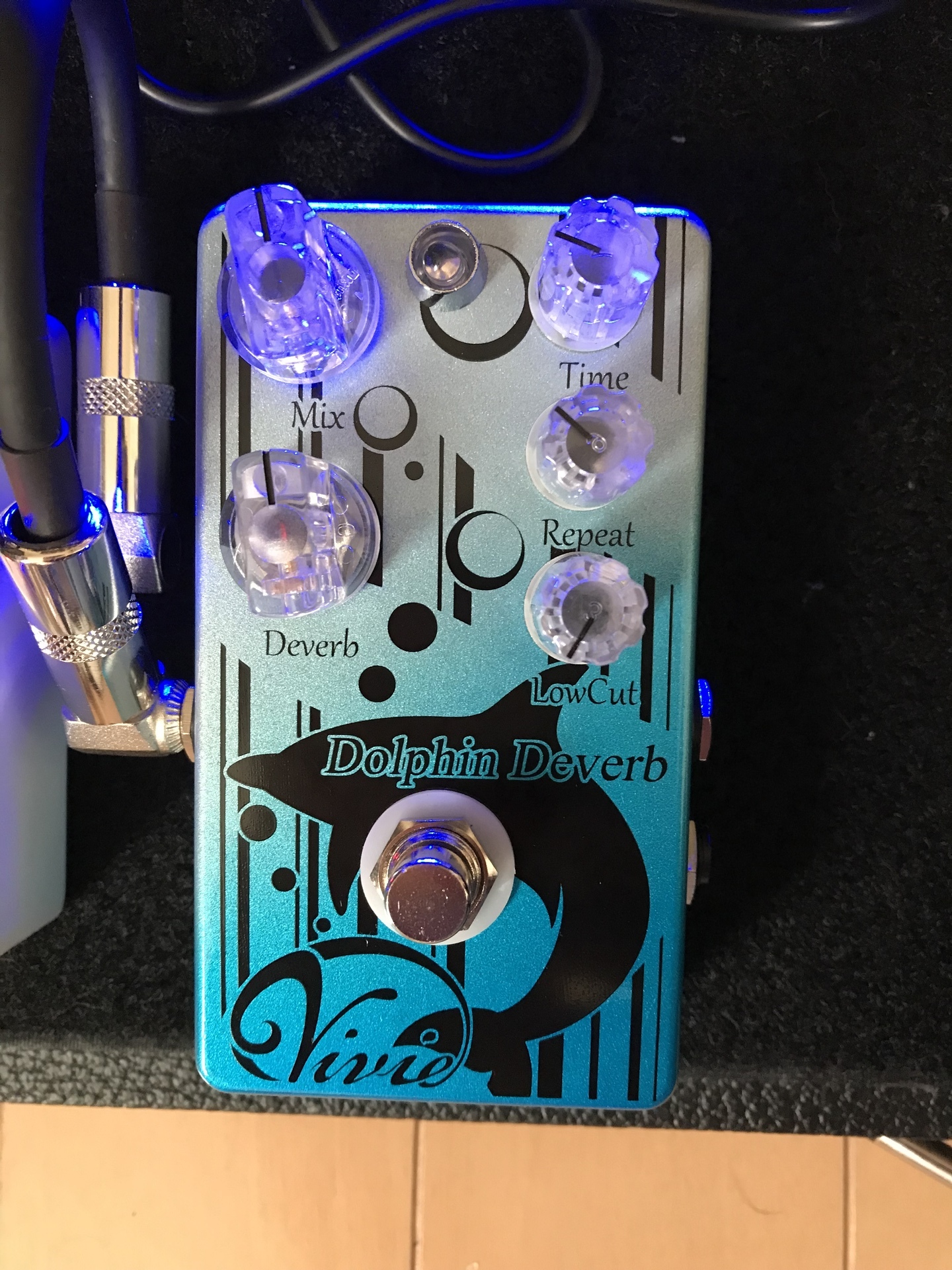 Vivie』イルカと戯れる『DolphinDeverb』: 『G』-Life