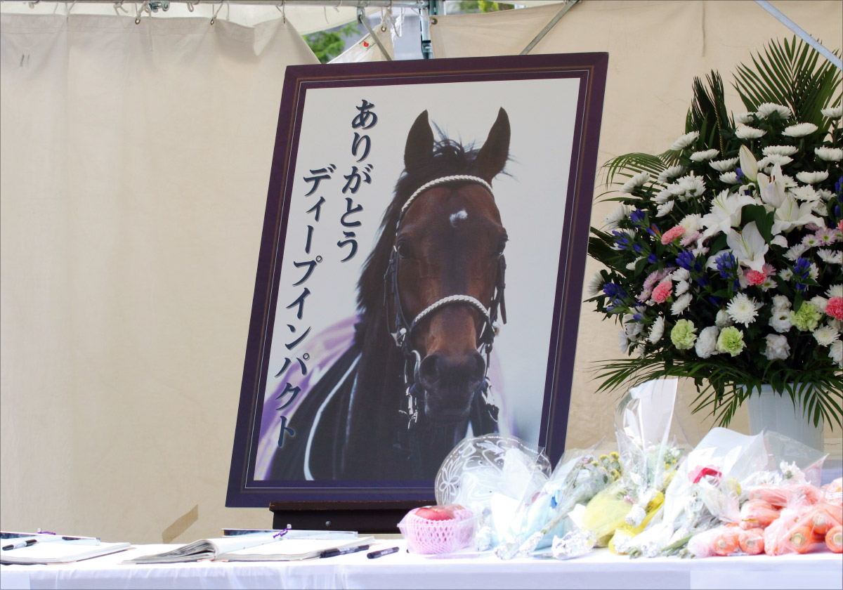 JRAディープインパクト国内「最後の産駒」誕生！母親はあの「おてんば