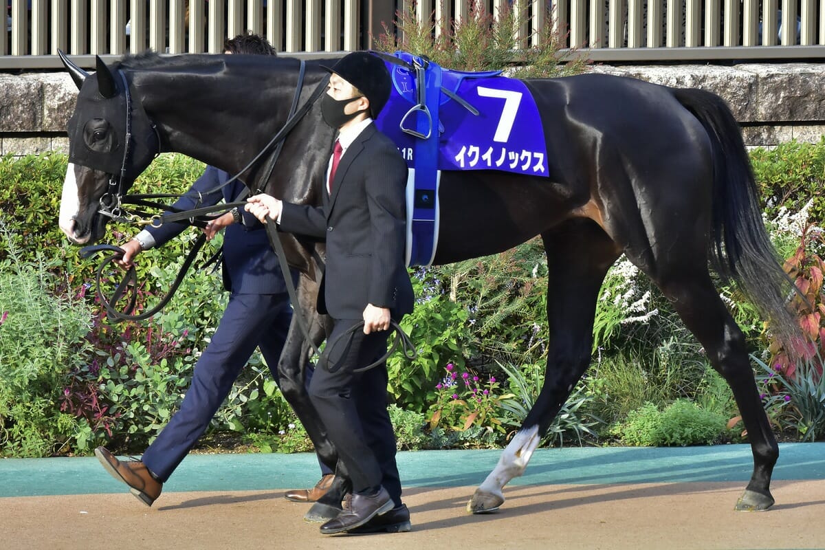 ドバイシーマクラシック（G1）展望】イクイノックスに状態不安説