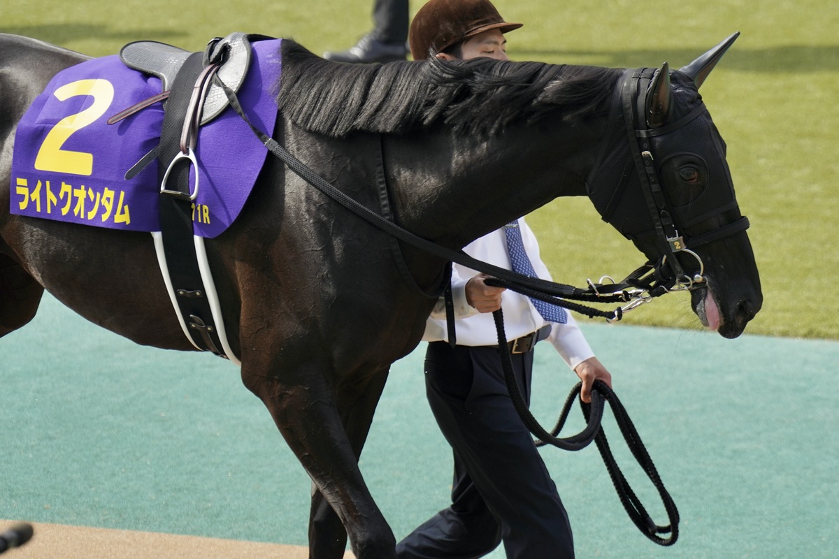 3.3億円」大物も戦線離脱中…ディープインパクト「最終世代」残り4頭