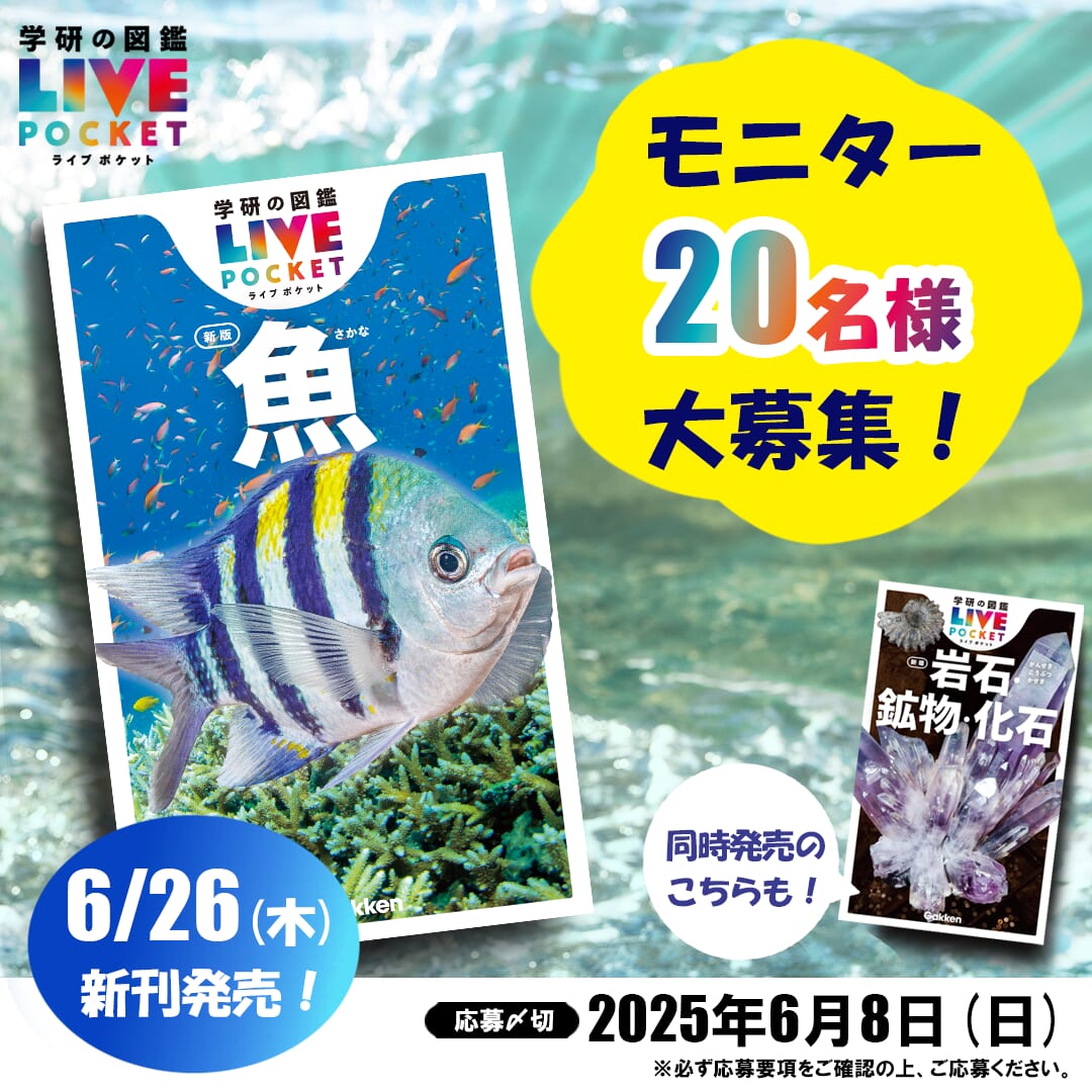 学研の図鑑LIVEポケット新版『魚』『岩石・鉱物・化石』モニター計40名