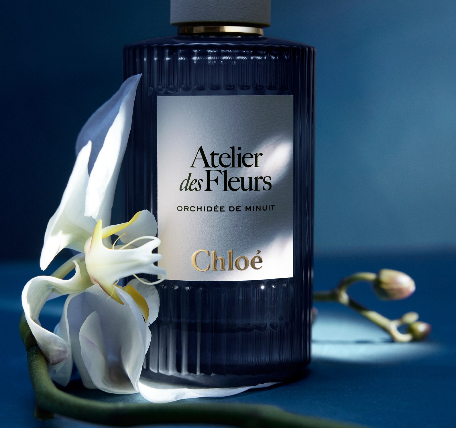 クロエの新作フレグランスは、夜を彩る官能的な白い花の香り！ | GINGER