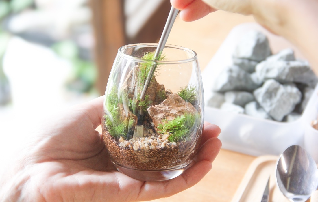 苔テラリウム作りコース」の体験ギフト。苔むすび 所要時間：60分 2人