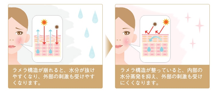 テラの輝きモイスチャークリーム 詰替パウチ400g｜トータルヘルス