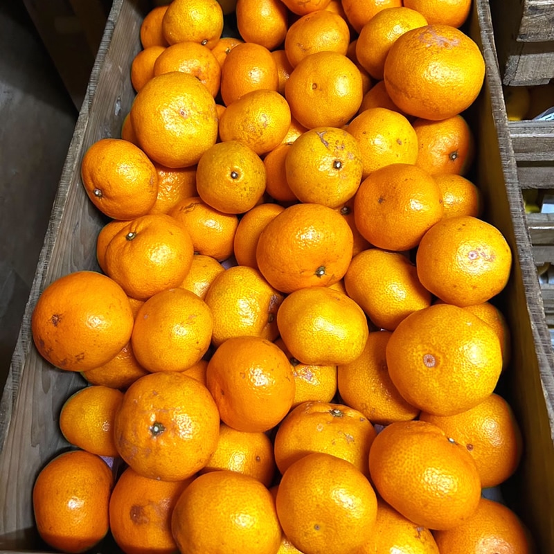 土方果樹園 l 【公式】 うまちょく便 | 静岡・山梨名物・特産品を通販