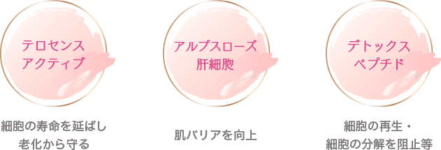 クリスティーナ:【エイジングケア】ミューズ リバイタライジングナイト