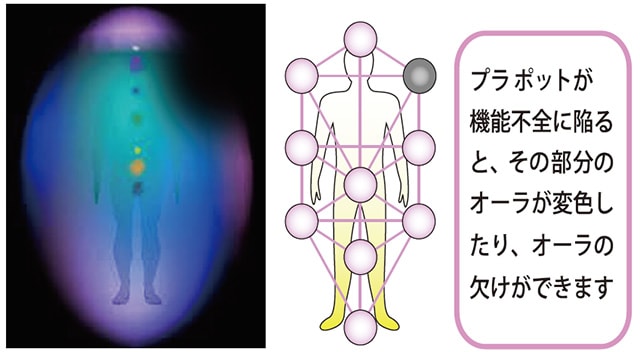 3Dカバラ・ペンダント パドマ アクセサリー ペンダント ネックレス