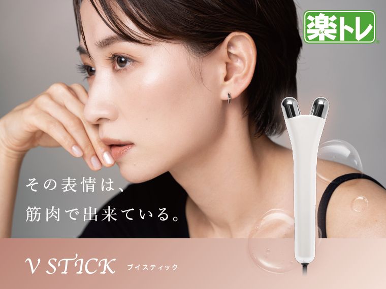 Vスティック（ブイ スティック） | すべて | リッコーオンラインショップ