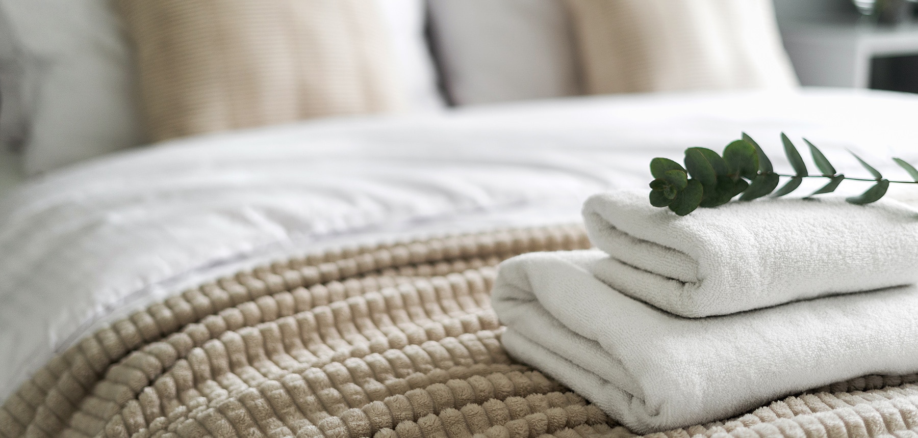 エントリッシュシリーズ薬用洗顔フォーム2L【入数6個】