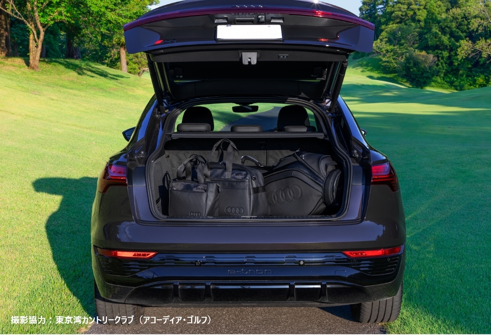 Audi collection | Audi × Taylor Made Series