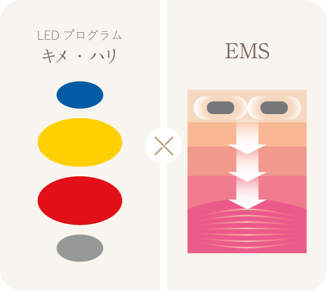 Exideal ovo (エクスイディアル オーヴォ) | LED美顔器 | LED美顔器