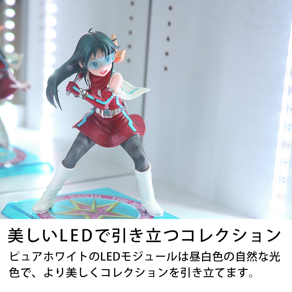 2026年初売りセール数量限定セット】フィギュアラック・ザ・サード