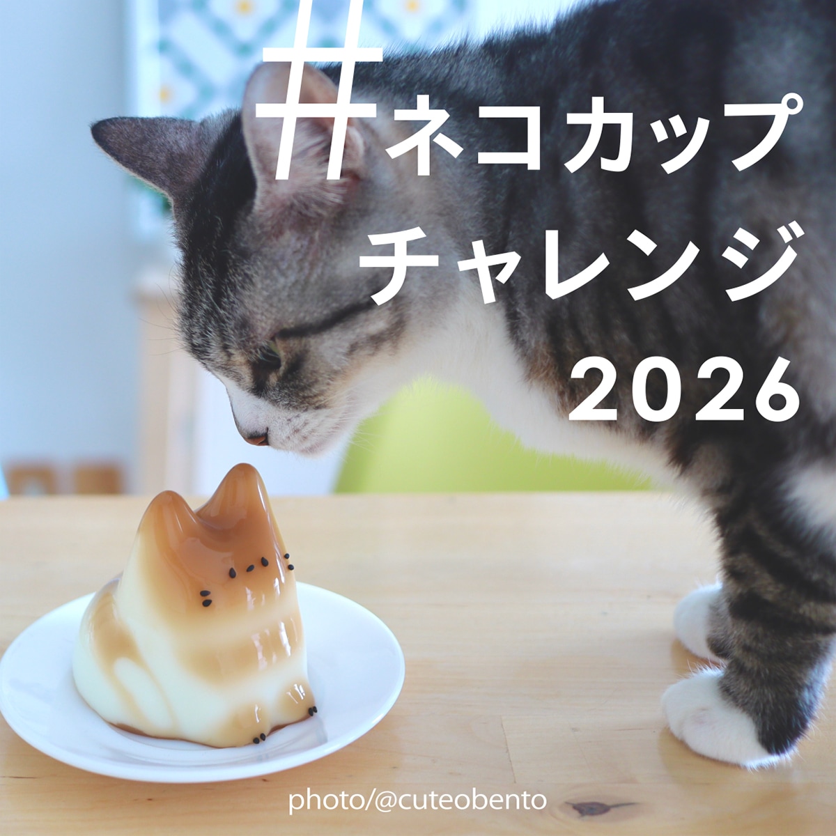 d｜ネコカップ【無限ネコ製造機】 | KONCENT Web shop｜アッシュ