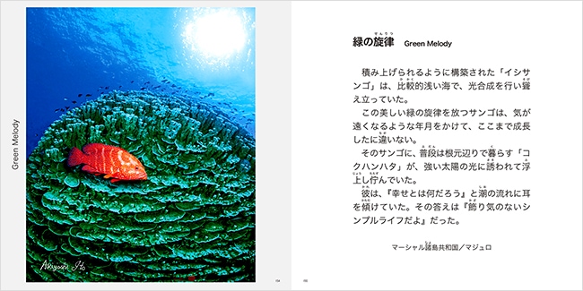 奇跡の海物語 伊東昭義｜求龍堂