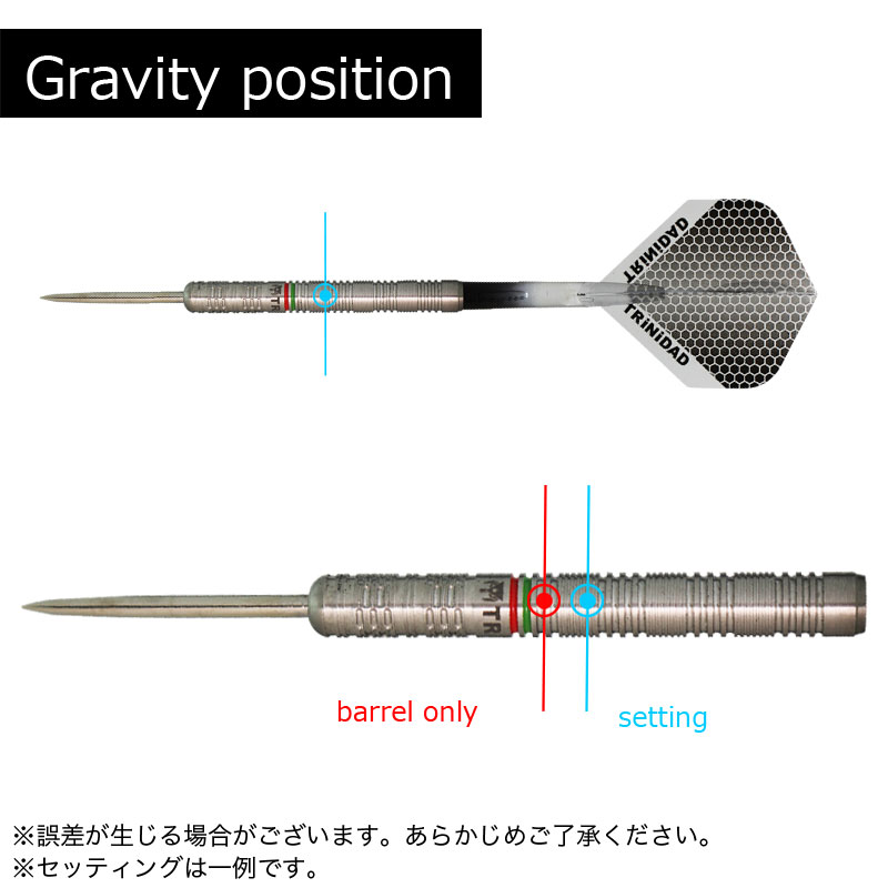 トリニダード ダーツ ホセ・デ・ソウサ タイプ3 24g スティール