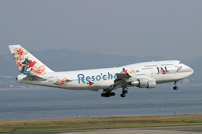 リゾッチャ（ホワイト） JAL（日本航空） B747-300SR JA8183