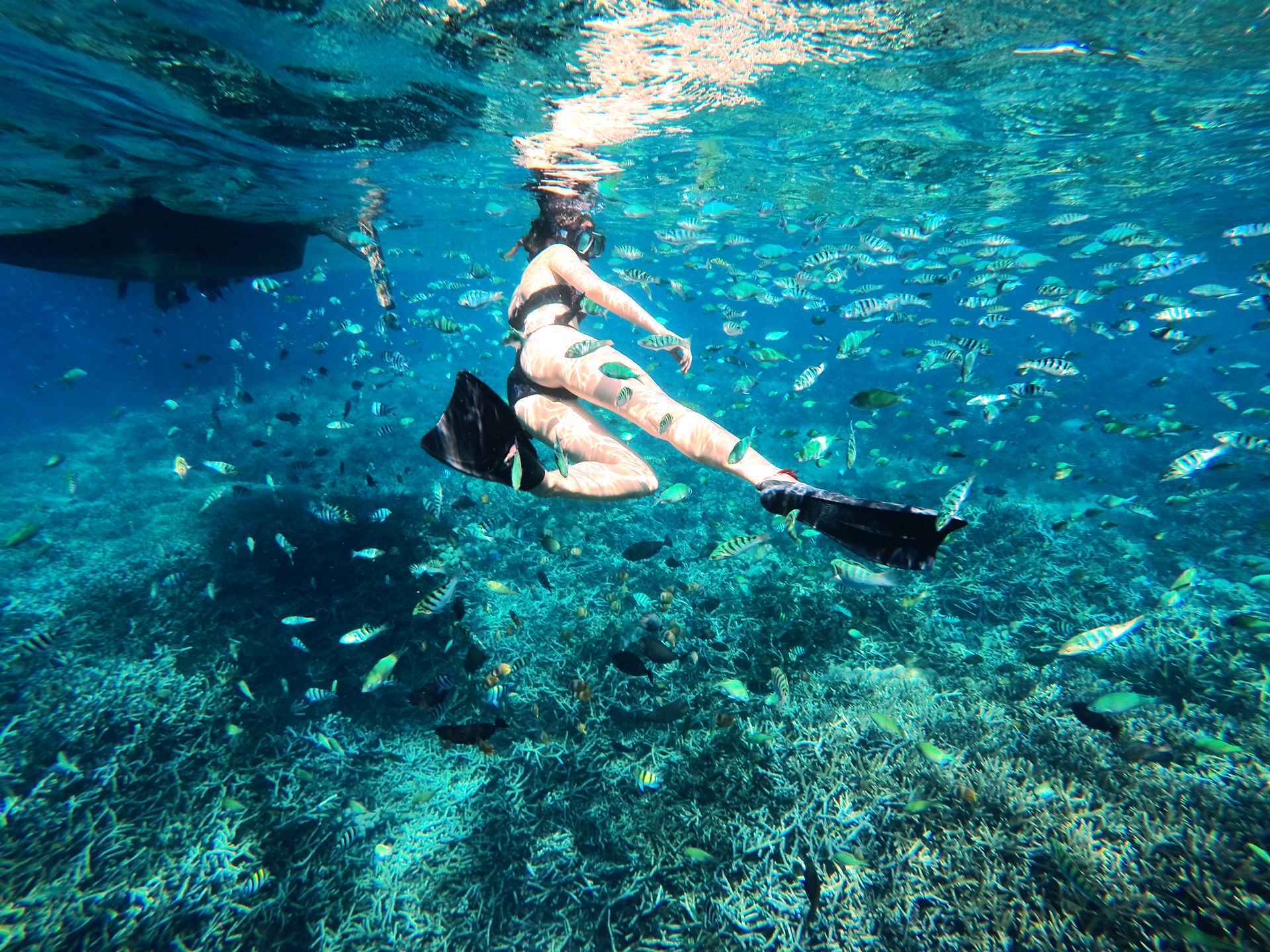 ヌサペニダ ポイント紹介| バリ島おすすめダイビングポイント | GO