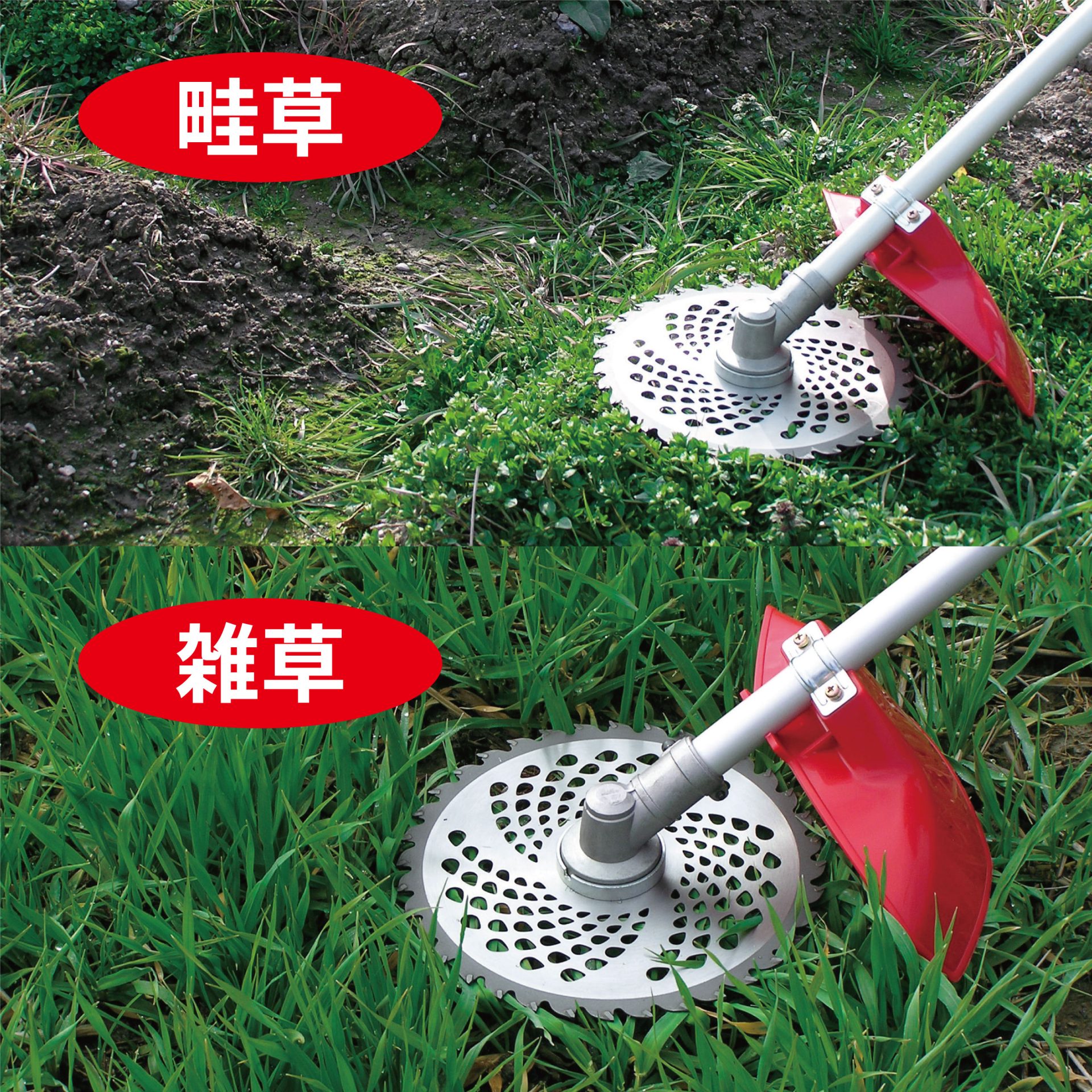 210429 - キンボシ株式会社