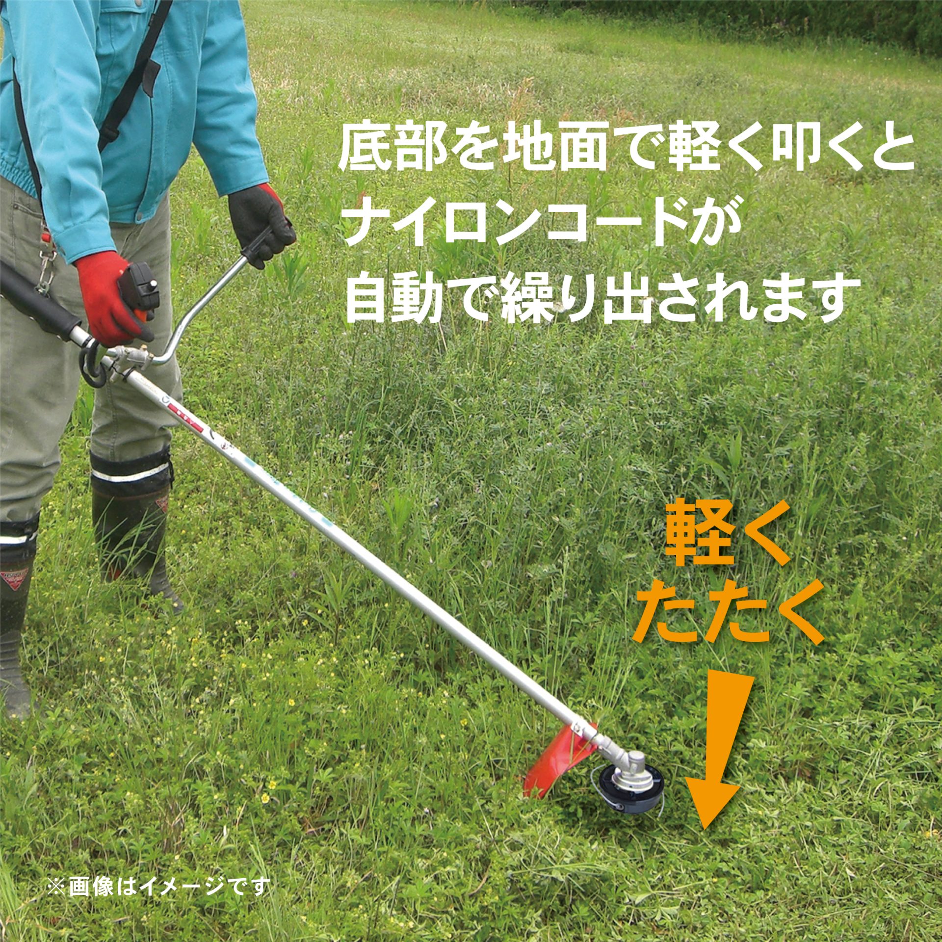 700260 - キンボシ株式会社