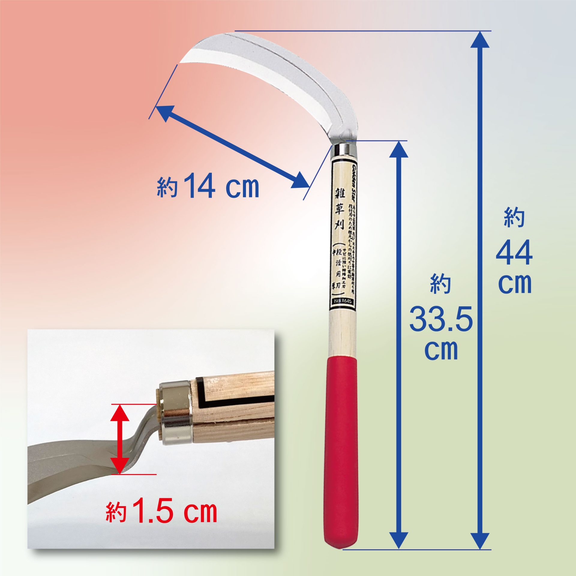 1645 - キンボシ株式会社