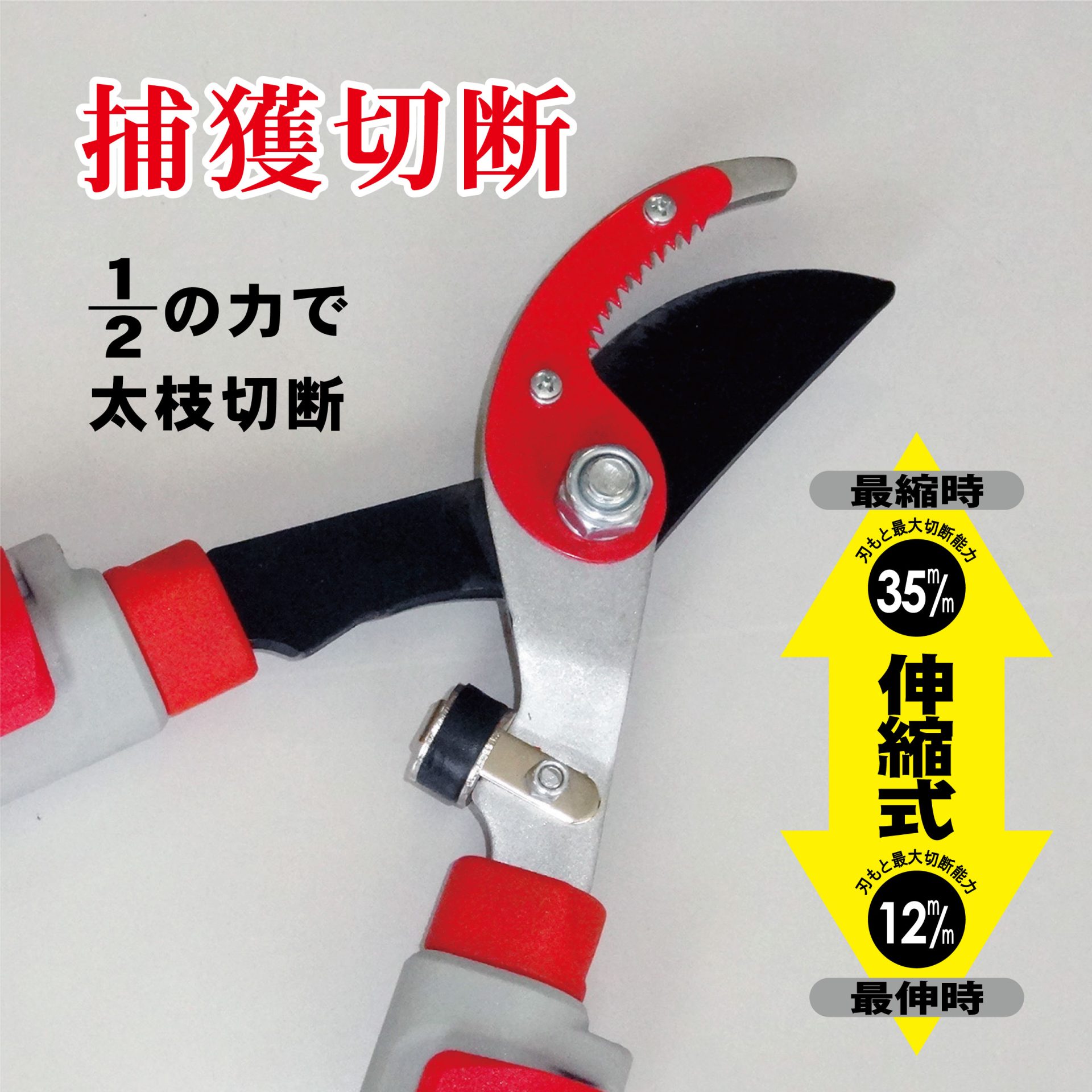 2043L - キンボシ株式会社