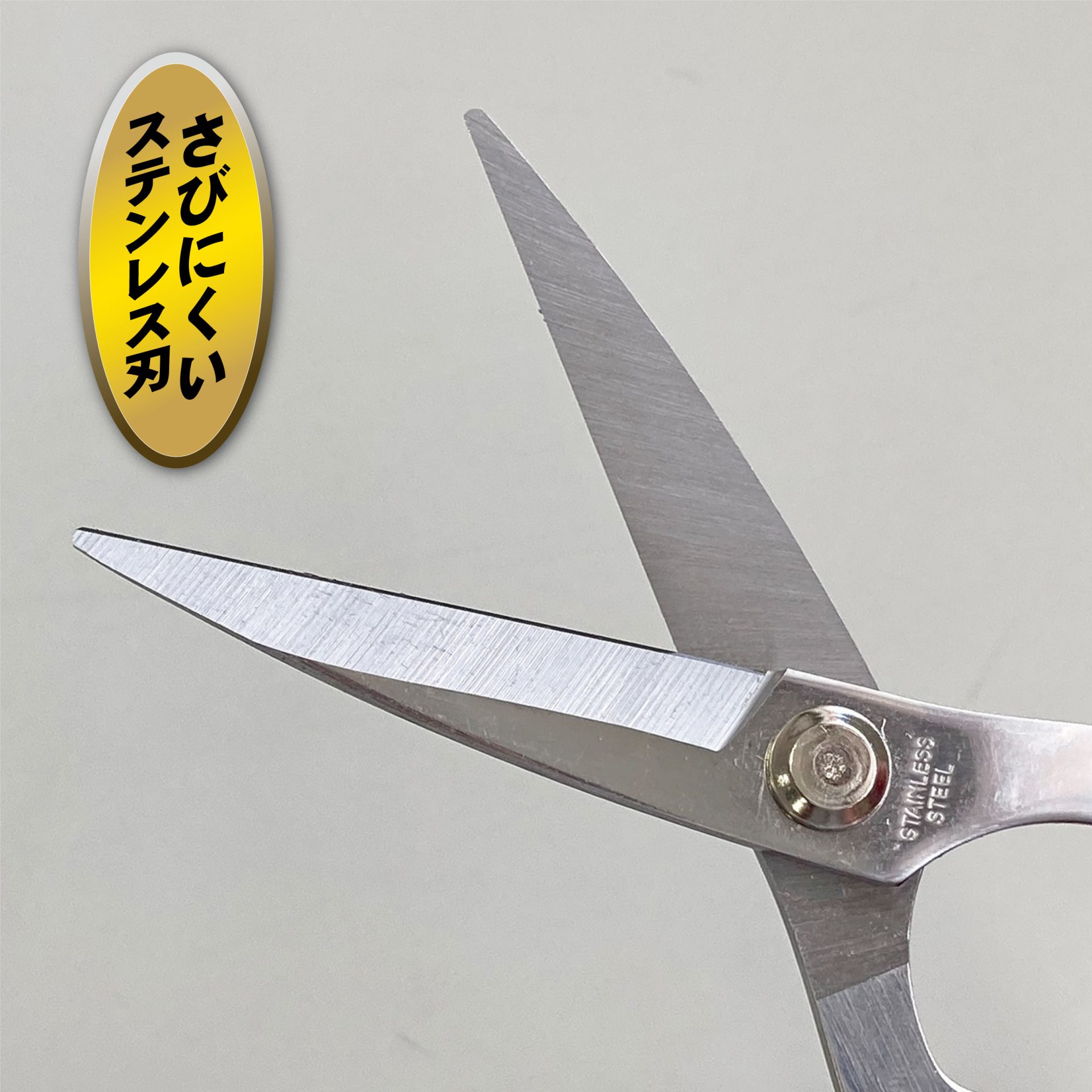 2315 - キンボシ株式会社