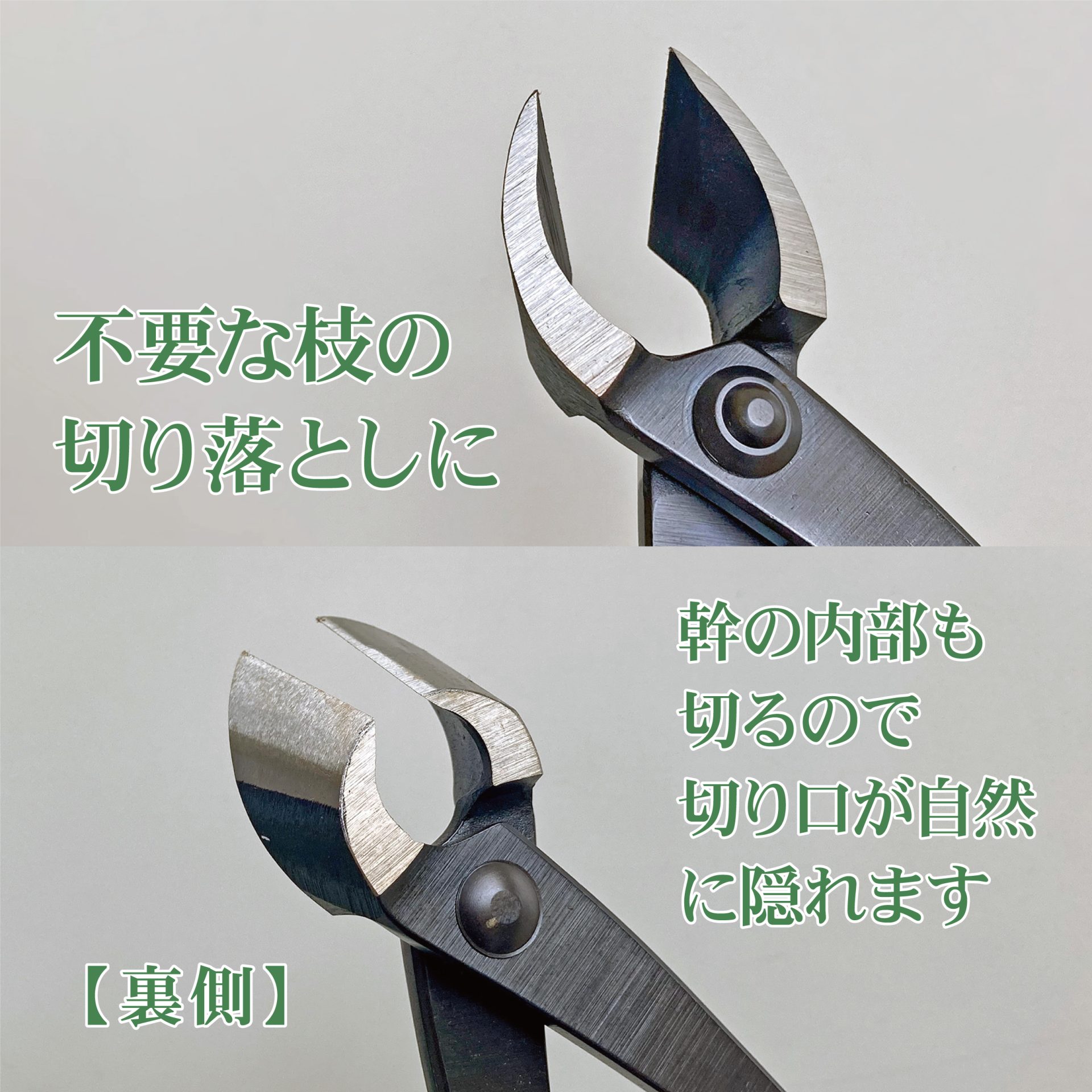 3511 - キンボシ株式会社