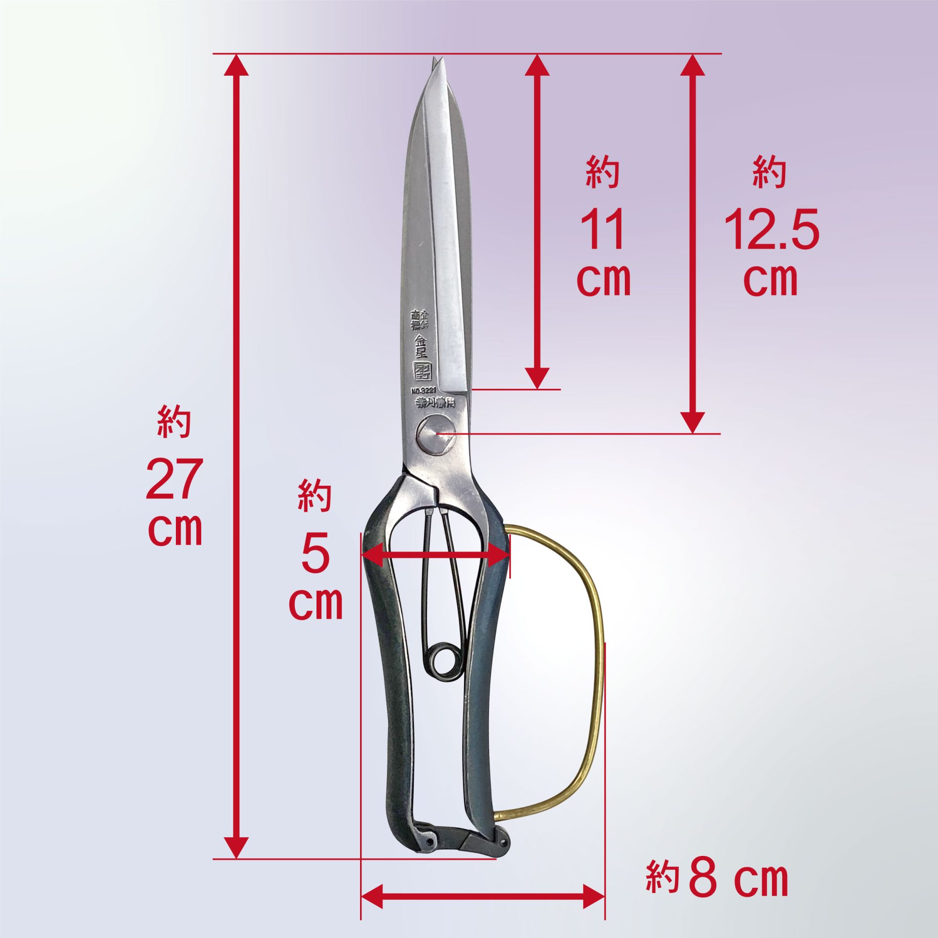 3221 - キンボシ株式会社