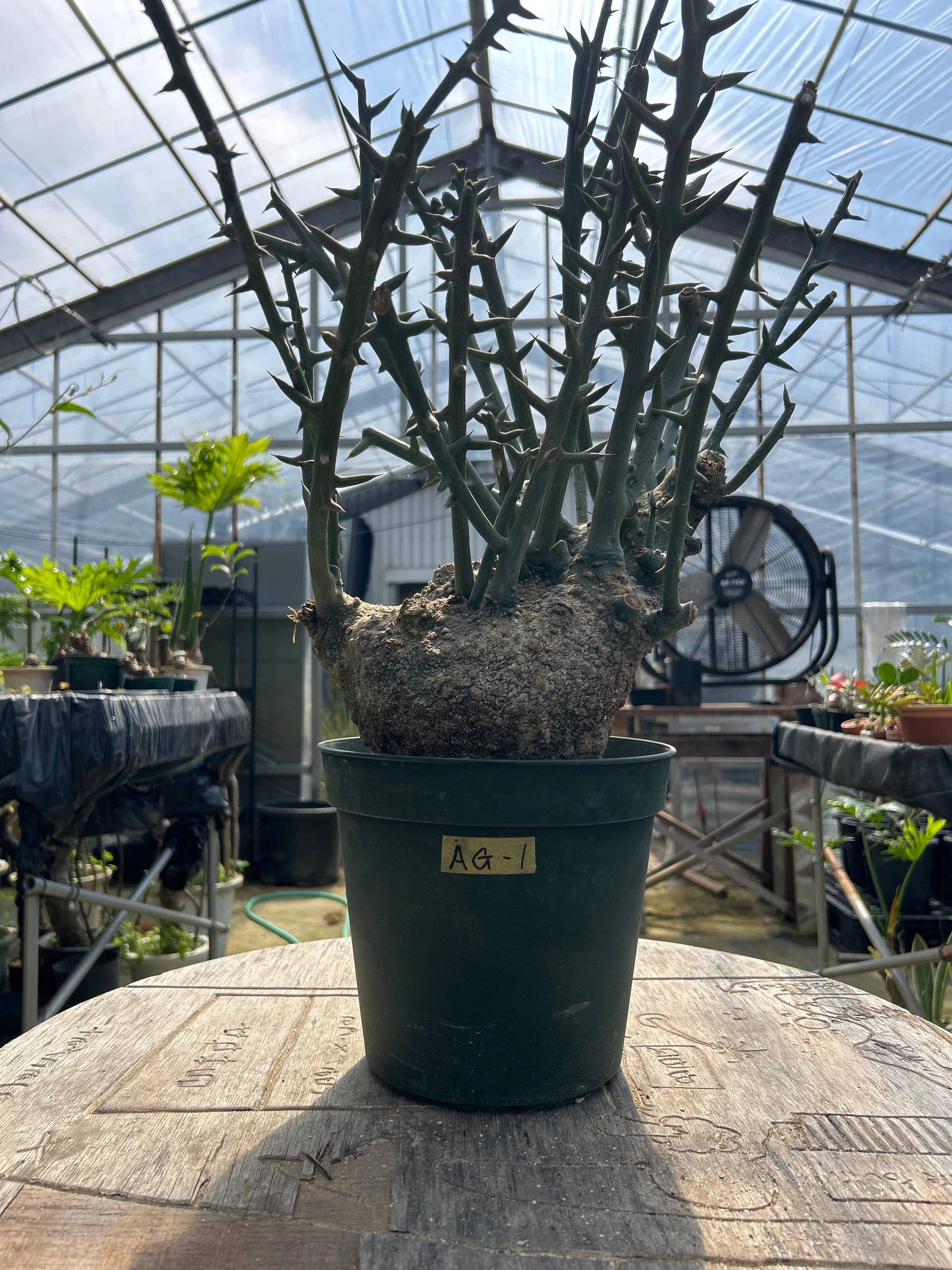 719877F8-34DE-4D11-A0C2-