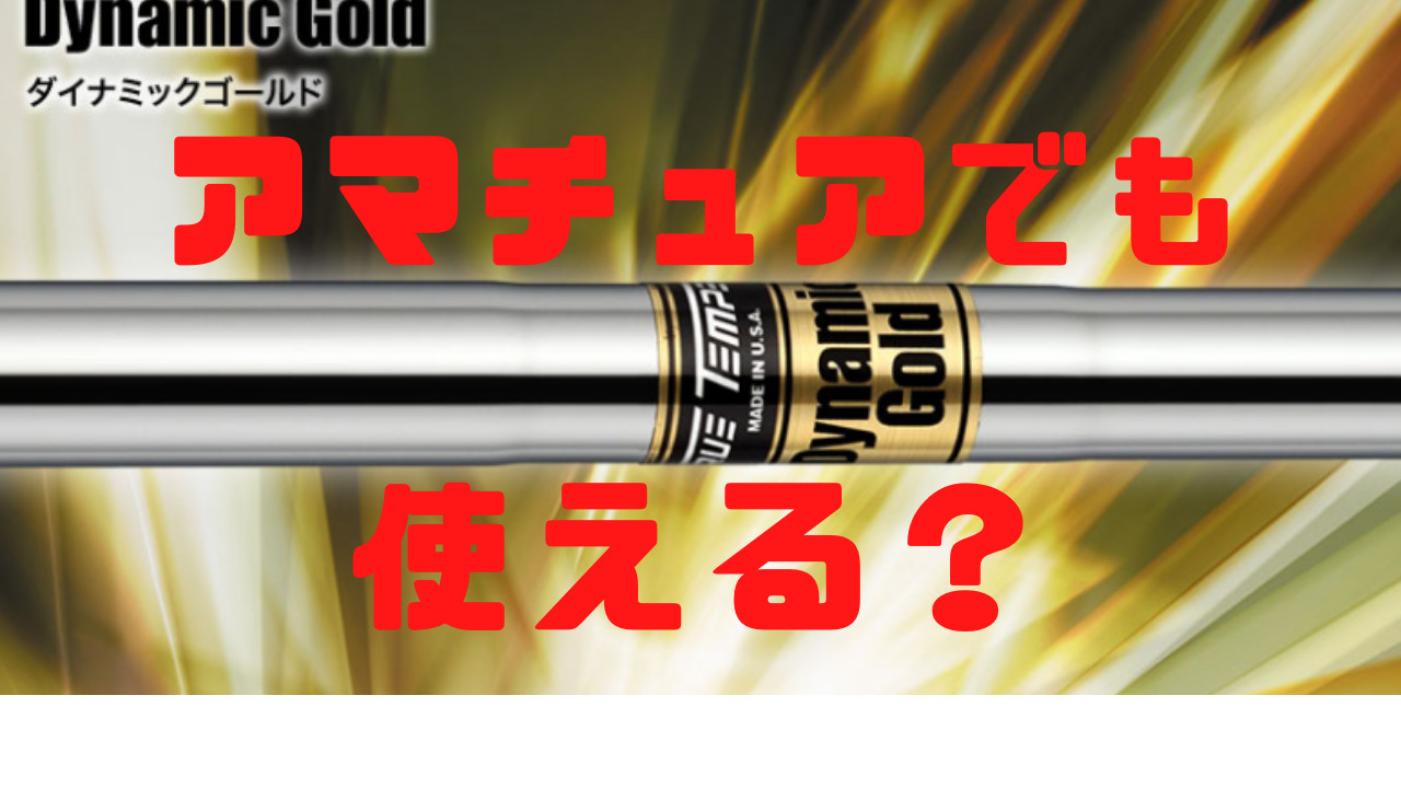 ダイナミックゴールドX100が合う人ってどんな人？アマチュアでも使える