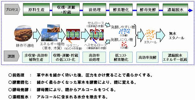 セルロース系バイオエタノール 製造プロセスと技術課題 | トヨタ自動車