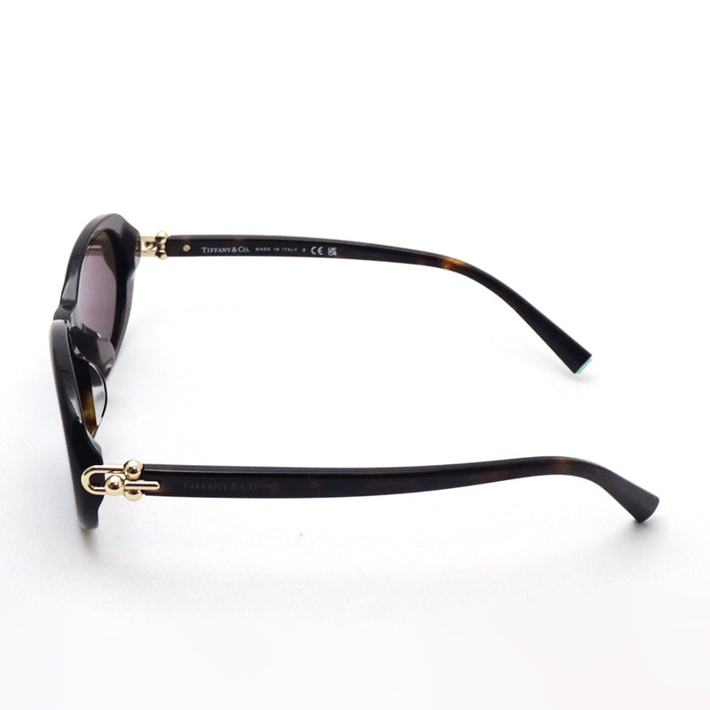 ティファニー サングラス TIFFANY&Co. TF4242D 80153G – GLASSMANIA