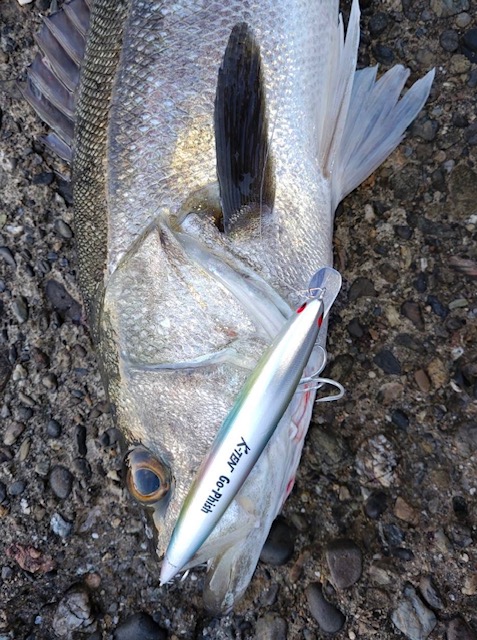 ⭐️美品激レア品⭐️ ゴーフィッシュTheTakeBacker10.6B ⭐️美品激