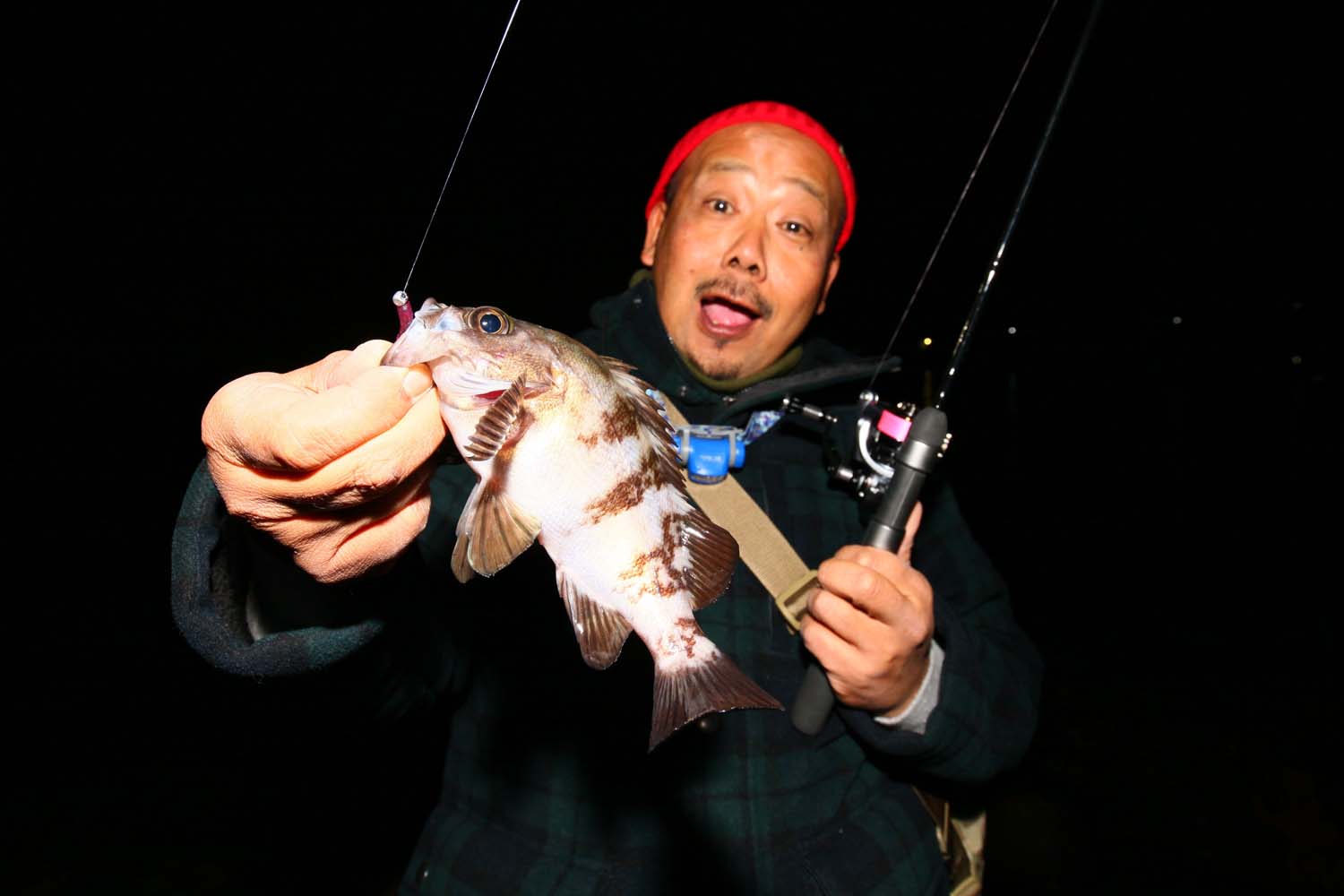 ul6 Rocksteady torzite（ul6 ロックステディー トルザイト） | Go-Phish