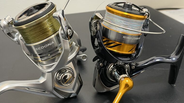 1万円以下】初心者におすすめ！実際に試して分かったコスパ最強