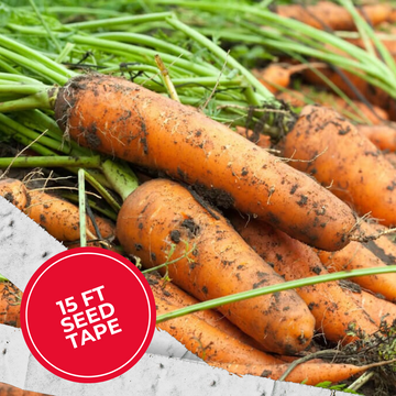 New For 2025 – HOSS